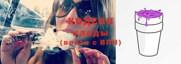 тгк Снежногорск