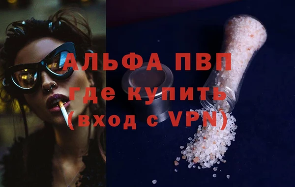 spice Баксан