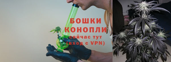тгк Снежногорск