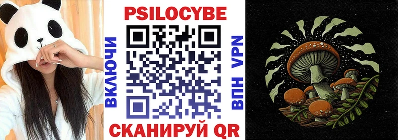 Галлюциногенные грибы Psilocybe  MEGA сайт  Унеча  что такое  