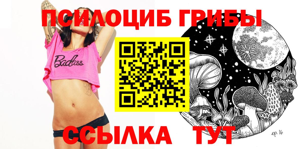 Псилоцибиновые грибы мухоморы  Вход с VPN  Унеча 