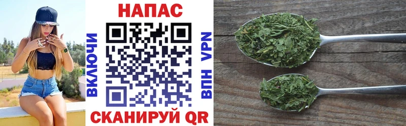 Каннабис OG Kush Унеча