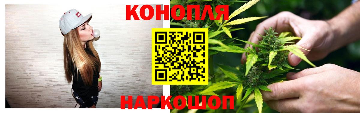 Конопля OG Kush  Бошки марихуана марихуана  Марихуана White Widow  Унеча  Бошки марихуана планчик  Вход с VPN 